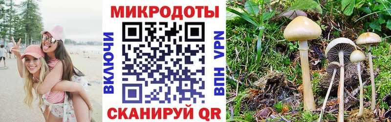 магазин продажи Пыталово hydra зеркало Галлюциногенные грибы мухоморы