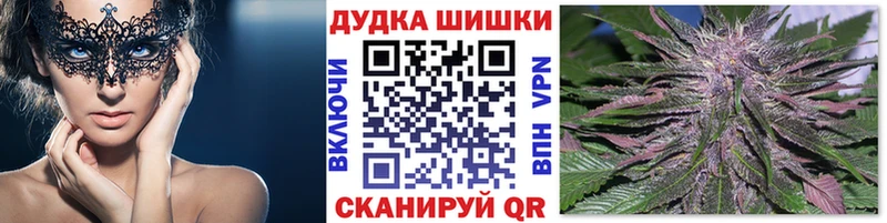 как найти наркотики  Пыталово  Конопля THC 21% 